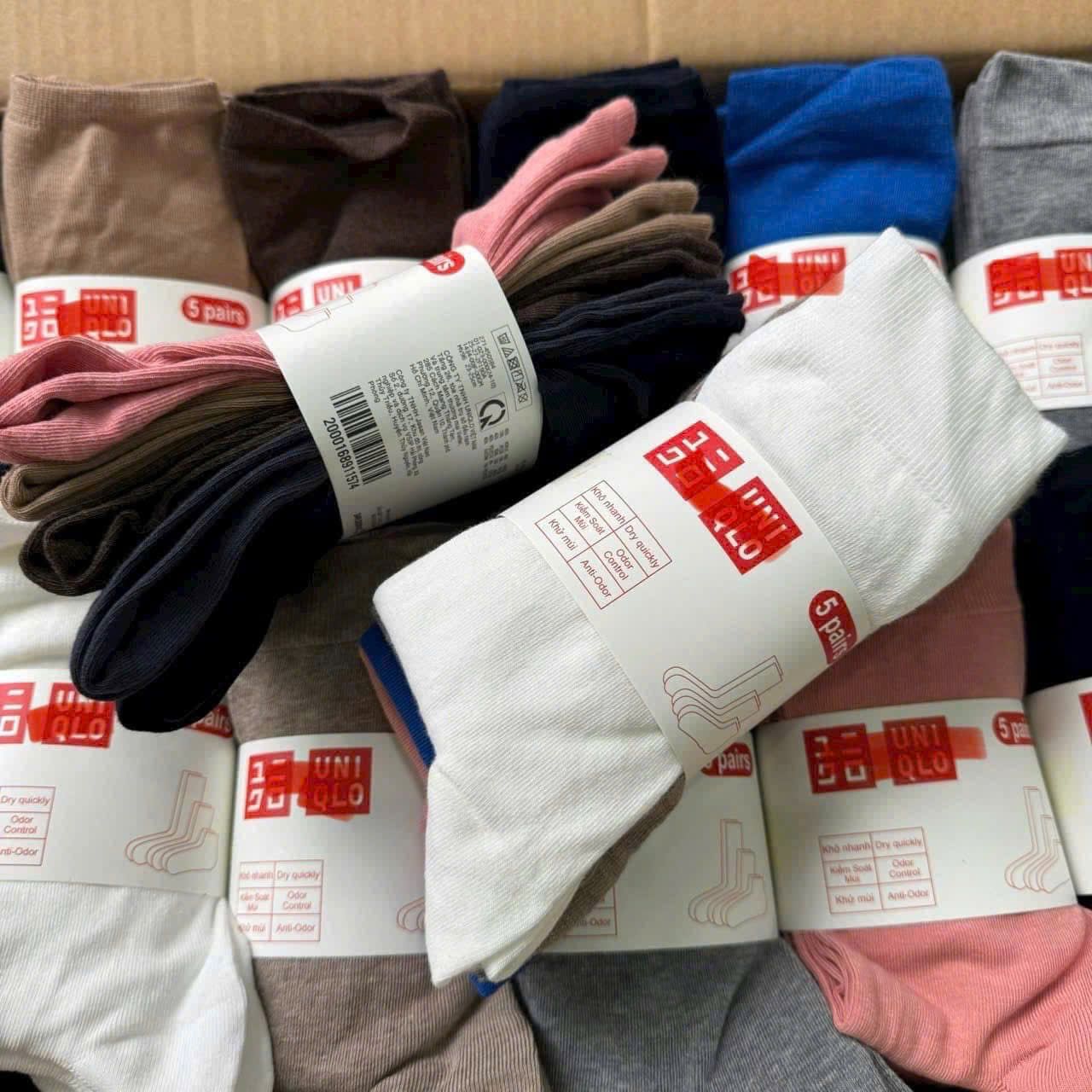 Premium Casual Socks Collection